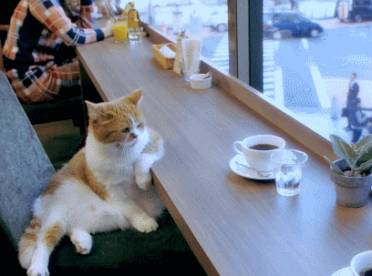 tumblr_ni3zzh4ra01r2tdyxo1_500.gif