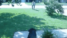 5SecondnsApp.gif